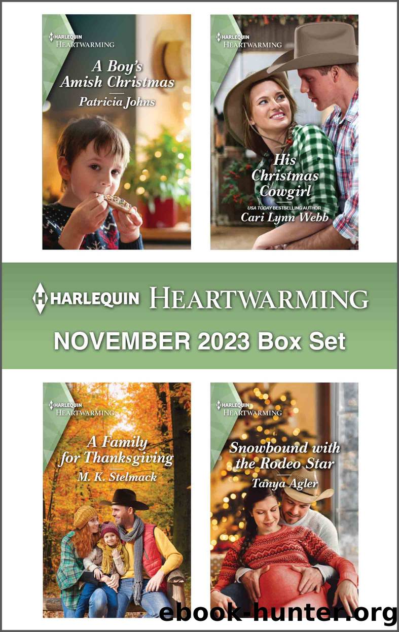 Harlequin Heartwarming November 2023 Box Set by Patricia Johns