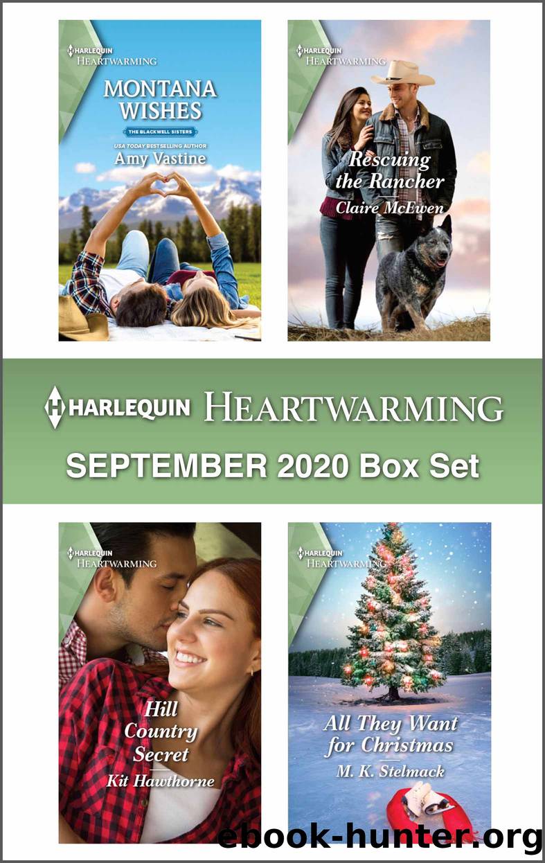 Harlequin Heartwarming September 2020 Box Set by Amy Vastine