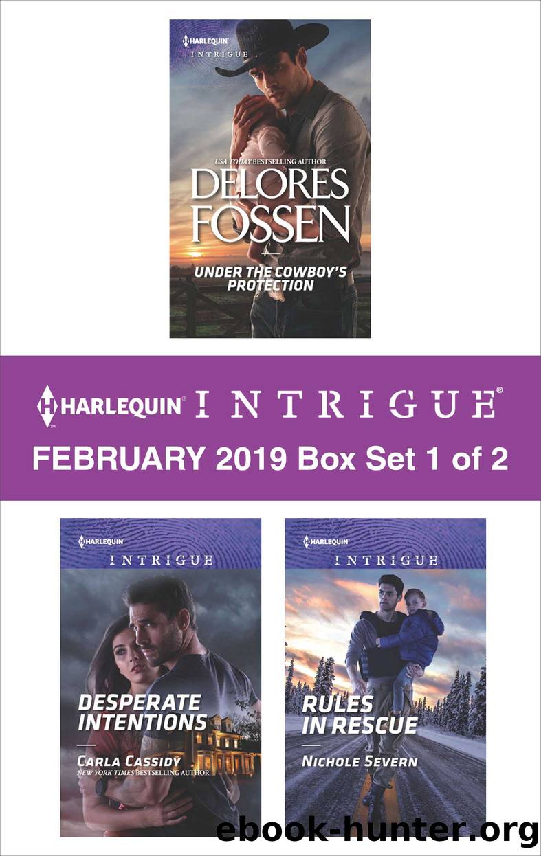 Harlequin Intrigue February 2019, Box Set 1 of 2 by Delores Fossen