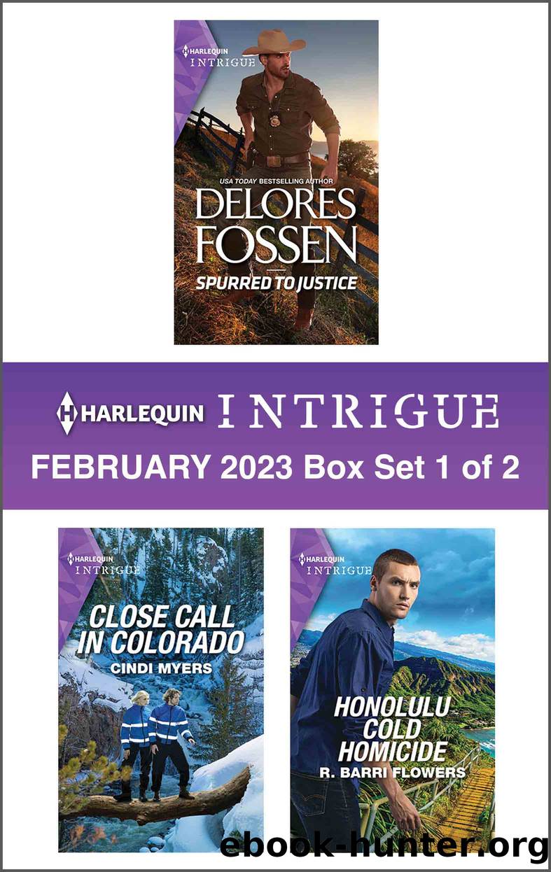 Harlequin Intrigue February 2023--Box Set 1 of 2 by Delores Fossen