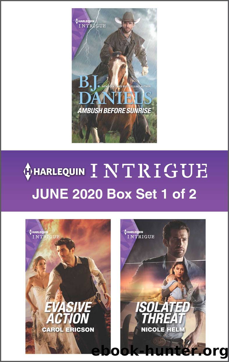 Harlequin Intrigue June 2020--Box Set 1 of 2 by B.J. Daniels