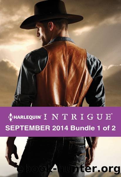 Harlequin Intrigue September 2014 - Bundle 1 of 2: Maverick Sheriff\Dead Man's Curve\Snow Blind by Delores Fossen