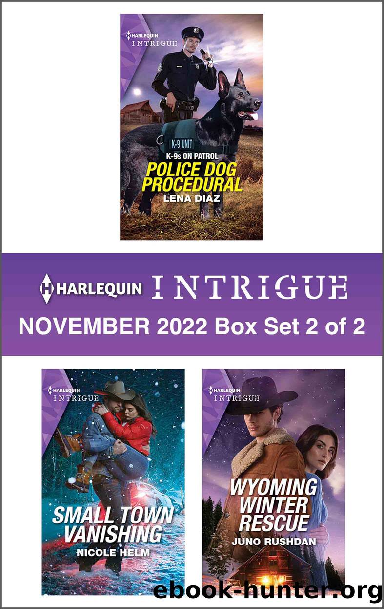 Harlequin Intrigue: November 2022 Box Set 2 of 2 by Lena Diaz