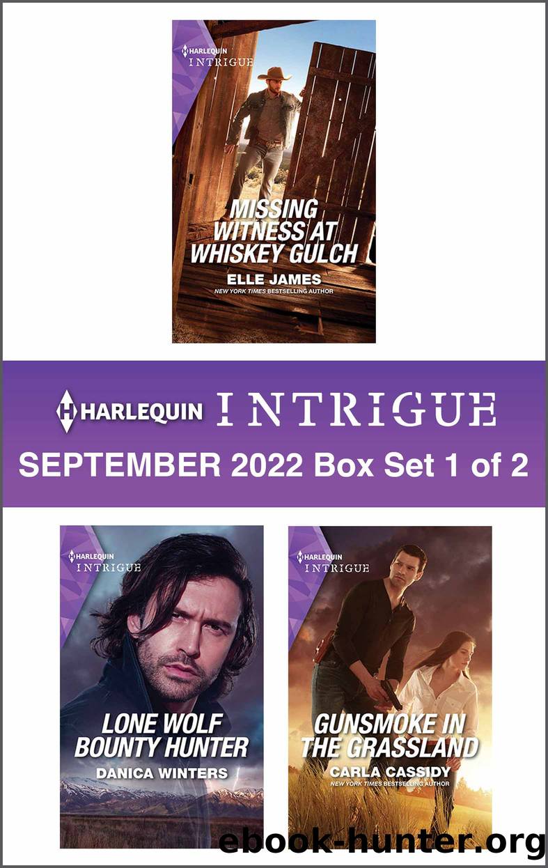 Harlequin Intrigue: September 2022 Box Set 1 of 2 by Elle James
