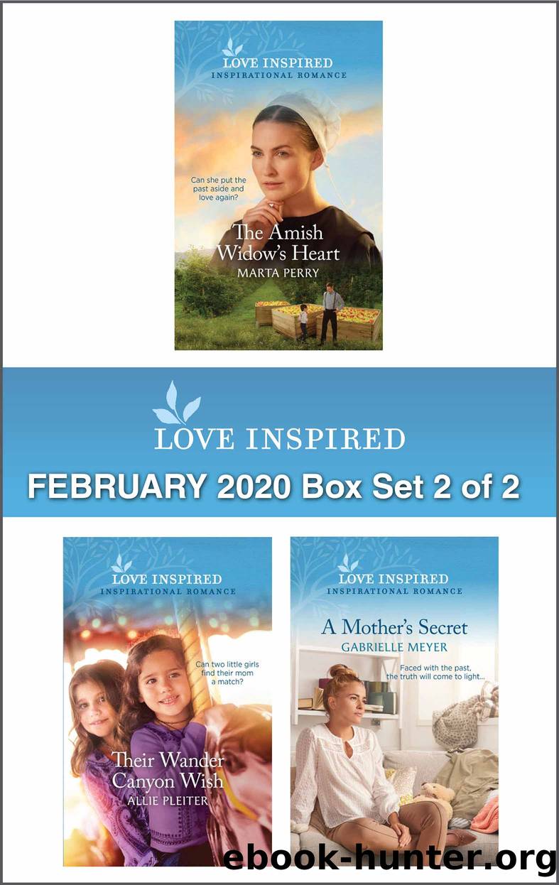 Harlequin Love Inspired February 2020--Box Set 2 of 2 by Marta Perry