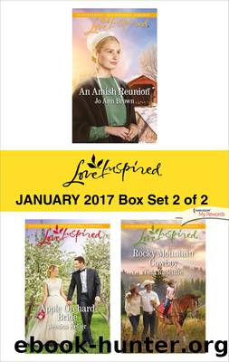 Harlequin Love Inspired January 2017, Box Set 2 of 2 by Jo Ann Brown