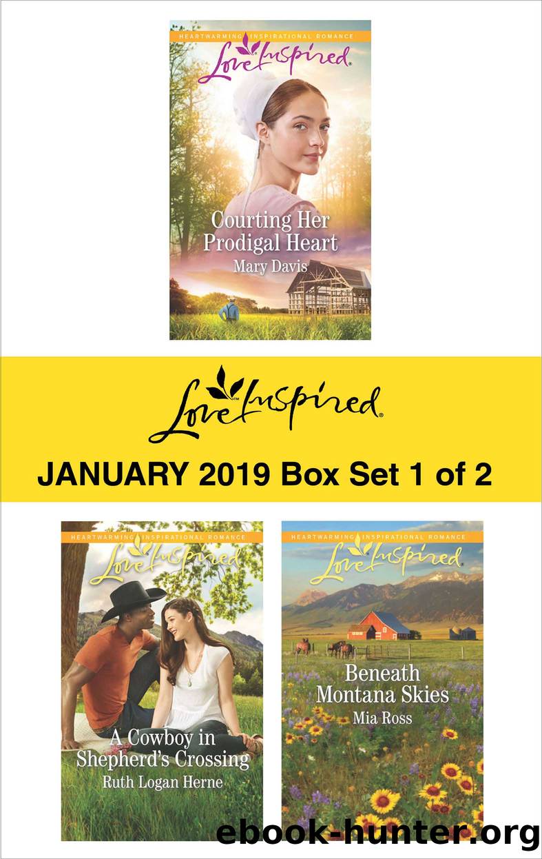 Harlequin Love Inspired January 2019--Box Set 1 of 2 by Mary Davis
