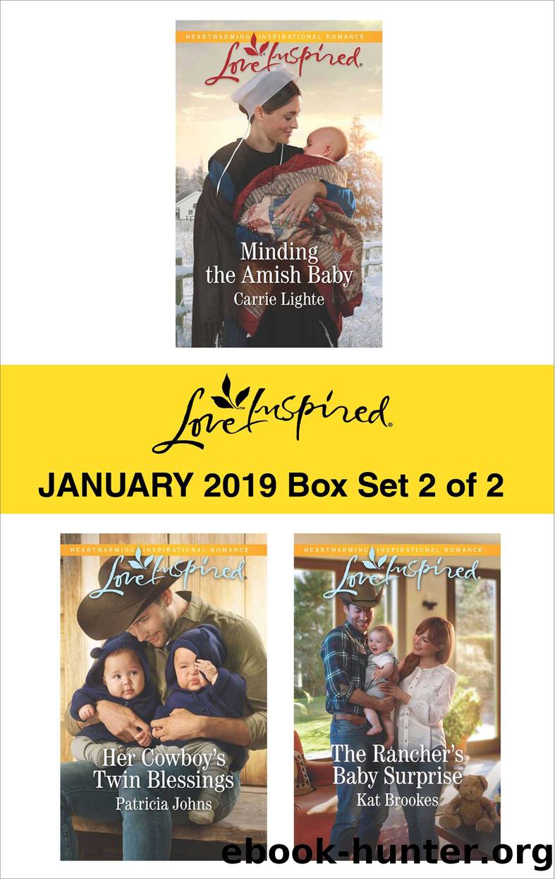 Harlequin Love Inspired January 2019--Box Set 2 of 2 by Carrie Lighte