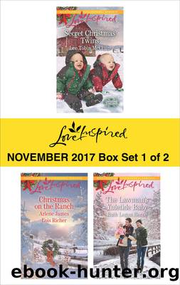 Harlequin Love Inspired November 2017--Box Set 1 of 2 by Lee Tobin McClain