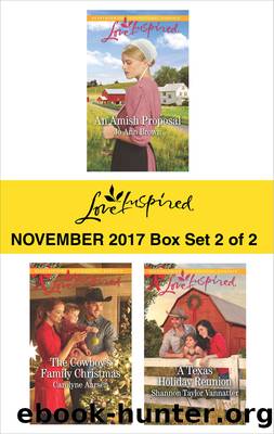 Harlequin Love Inspired November 2017--Box Set 2 of 2 by Jo Ann Brown