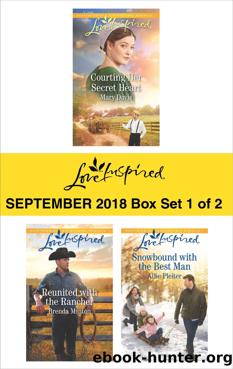 Harlequin Love Inspired September 2018--Box Set 1 of 2 by Mary Davis