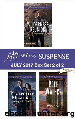 Harlequin Love Inspired Suspense July 2017 Box Set 2 of 2 by Elizabeth Goddard Maggie K. Black & Jessica R. Patch
