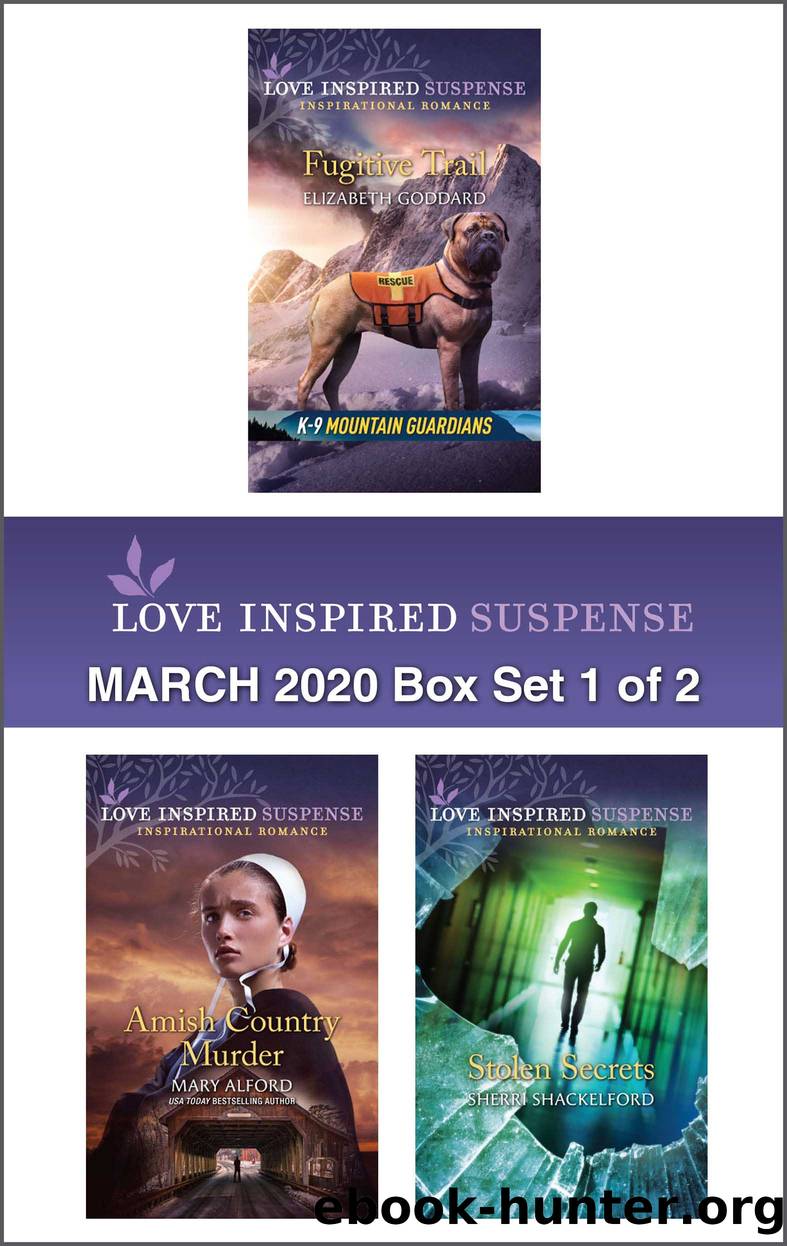 Harlequin Love Inspired Suspense March 2020--Box Set 1 of 2 by Elizabeth Goddard