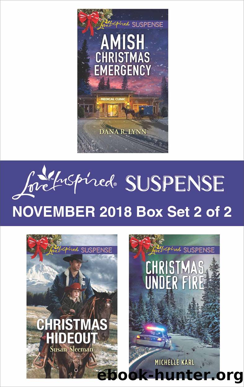 Harlequin Love Inspired Suspense November 2018, Box Set 2 of 2 by Dana R. Lynn