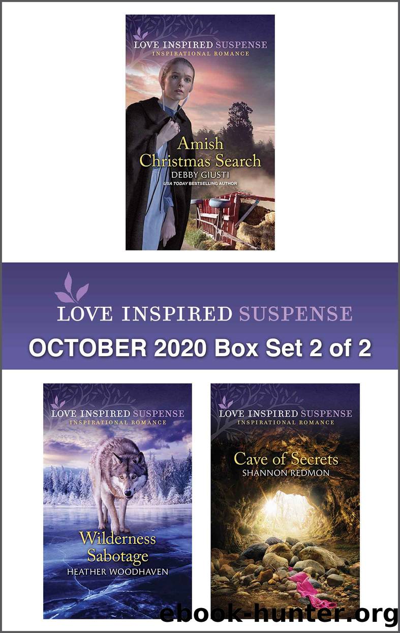 Harlequin Love Inspired Suspense October 2020--Box Set 2 of 2 by Debby Giusti