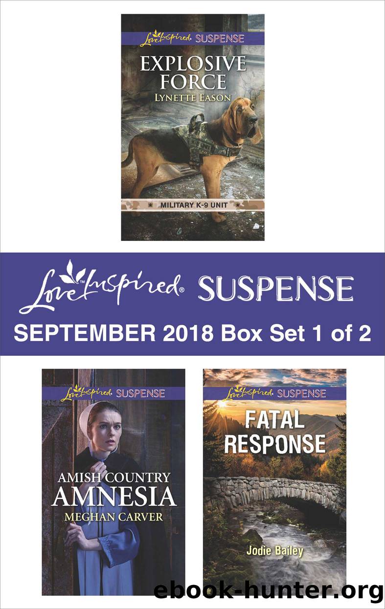 Harlequin Love Inspired Suspense September 2018--Box Set 1 of 2 by Lynette Eason