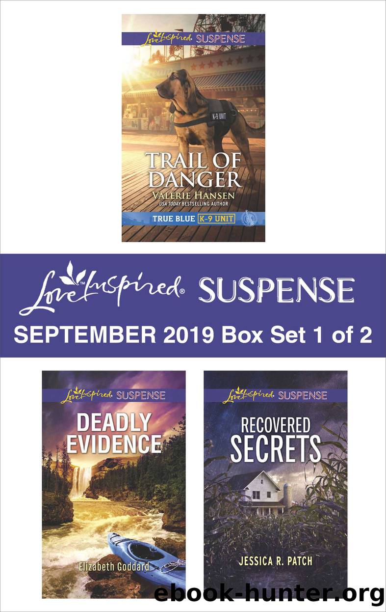 Harlequin Love Inspired Suspense September 2019, Box Set 1 of 2 by Valerie Hansen