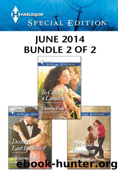 Harlequin Special Edition June 2014 - Bundle 2 of 2: Destiny's Last Bachelor?\To Catch a Camden\A Brevia Beginning by Christyne Butler