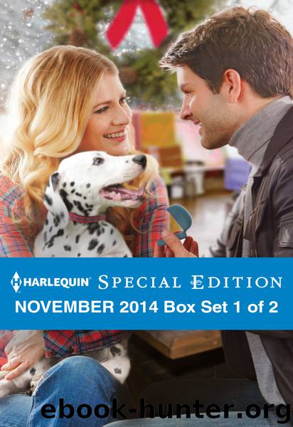 Harlequin Special Edition November 2014 - Box Set 1 of 2: A Weaver Christmas Gift\The Soldier's Holiday Homecoming\Santa's Playbook by Allison Leigh