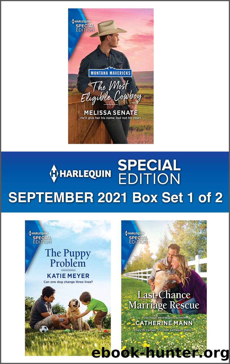 Harlequin Special Edition September 2021--Box Set 1 of 2 by Melissa Senate