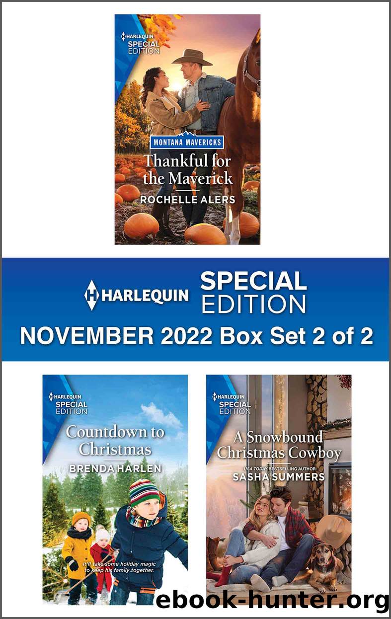 Harlequin Special Edition: November 2022 Box Set 2 of 2 by Rochelle Alers
