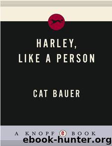 Harley, Like a Person by Cat Bauer