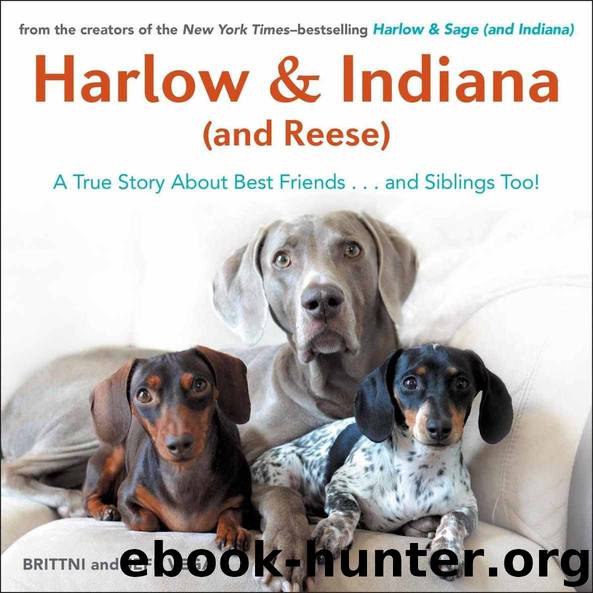 Harlow & Indiana (and Reese): Another True Story About Best Friends...and Siblings Too! by Brittni Vega