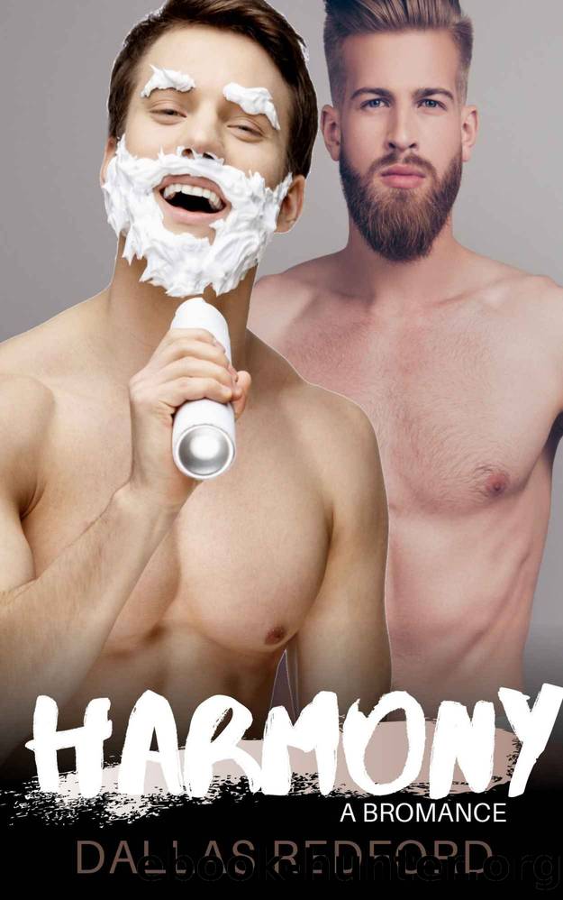 Harmony: A Bromance by Dallas Redford