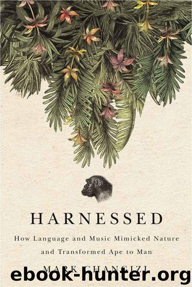 Harnessed: How Language and Music Mimicked Nature and Transformed Ape to Man by Mark Changizi