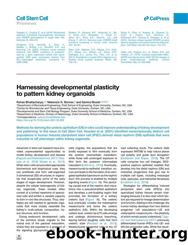 Harnessing developmental plasticity to pattern kidney organoids by Rohan Bhattacharya & Makenzie G. Bonner & Samira Musah