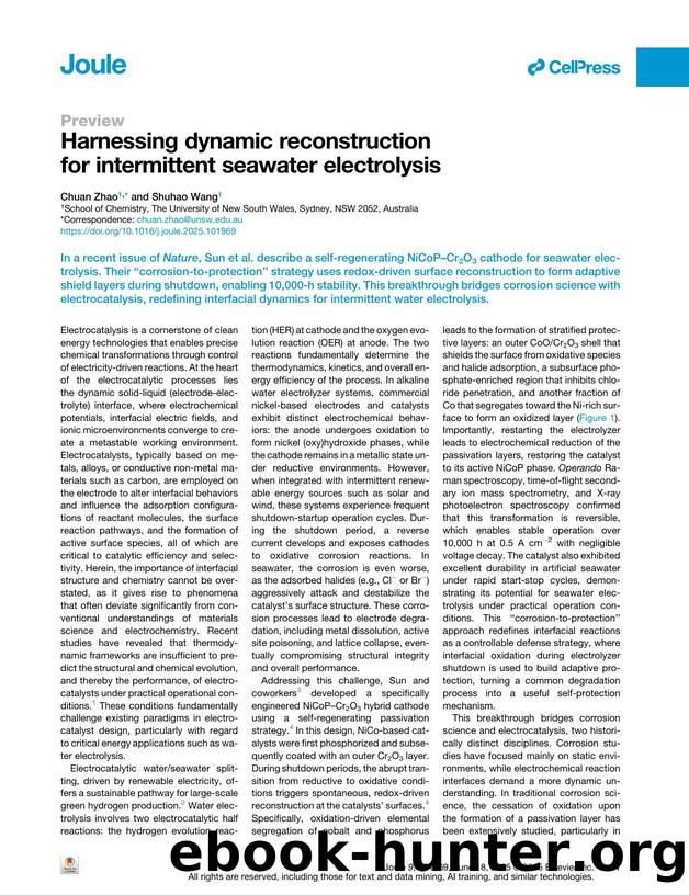 Harnessing dynamic reconstruction for intermittent seawater electrolysis by Chuan Zhao & Shuhao Wang