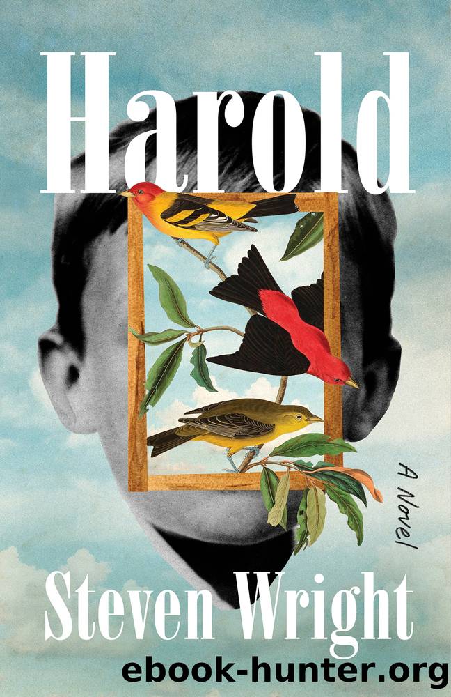 Harold by Steven Wright