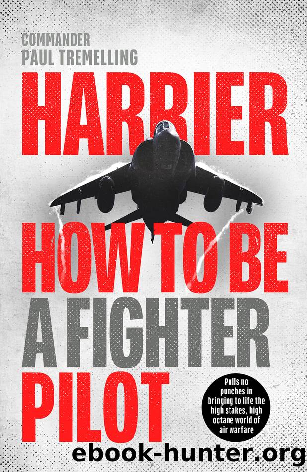 Harrier by Paul Tremelling