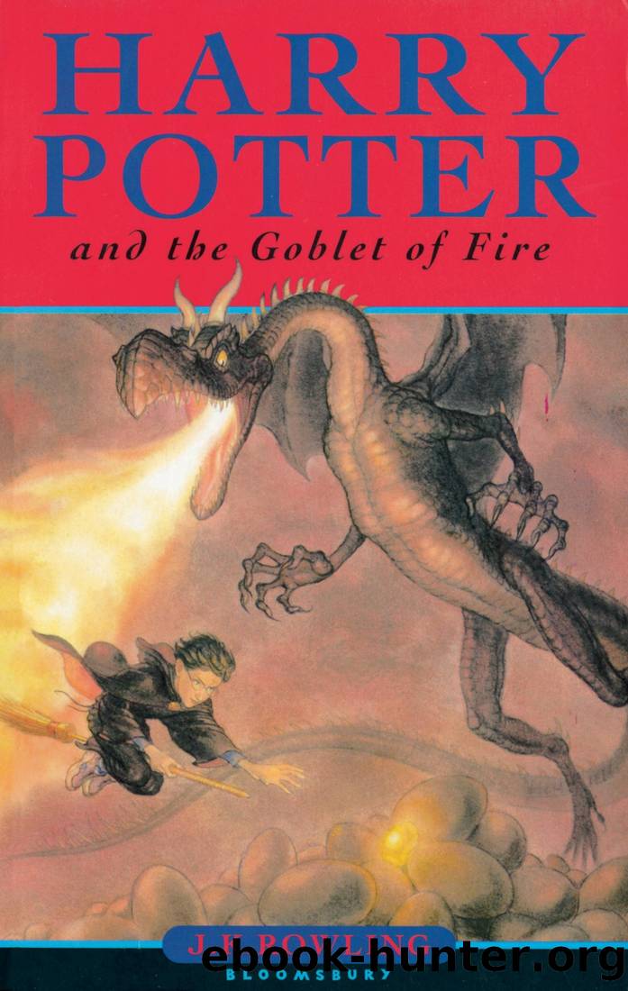 Harry Potter (4) and the Goblet of Fire by J. K. Rowling