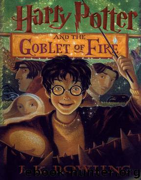 Harry Potter 4 - Harry Potter and the Goblet of Fire by J. K. Rowling & Mary Grandpré