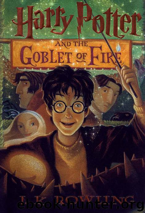 Harry Potter 4 - Harry Potter and the Goblet of Fire by J. K. Rowling