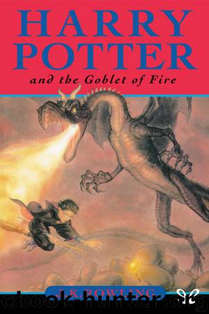 Harry Potter and the Globet of Fire by J. K. Rowling