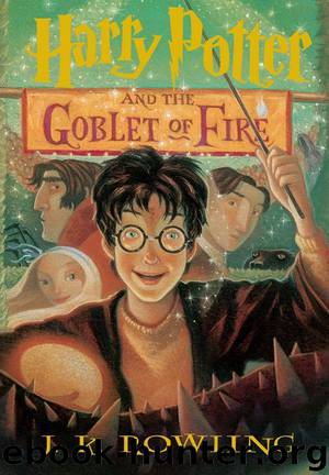 Harry Potter and the Goblet of Fire (Book 4) by Rowling J.K