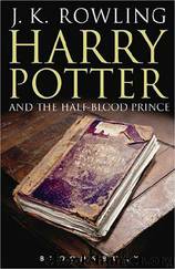 Harry Potter and the Half Blood Prince by J. K. Rowling