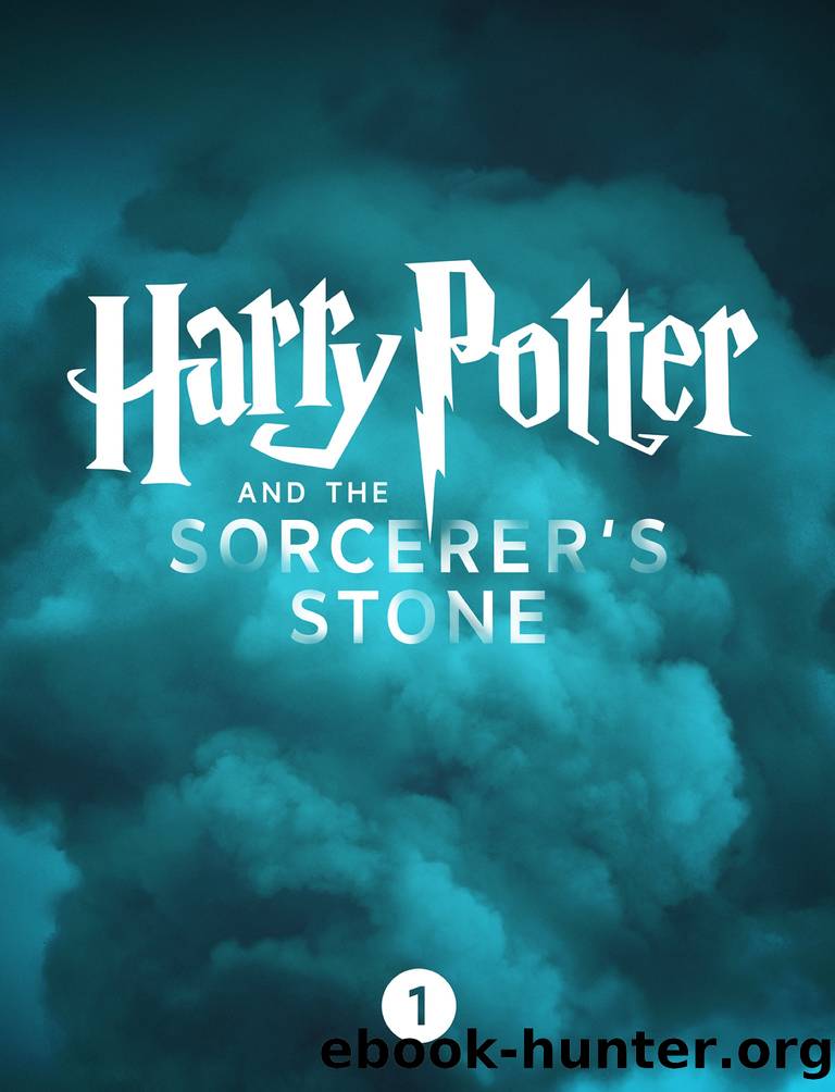Harry Potter and the Sorcerer's Stone (Enhanced Edition) by J K Rowling