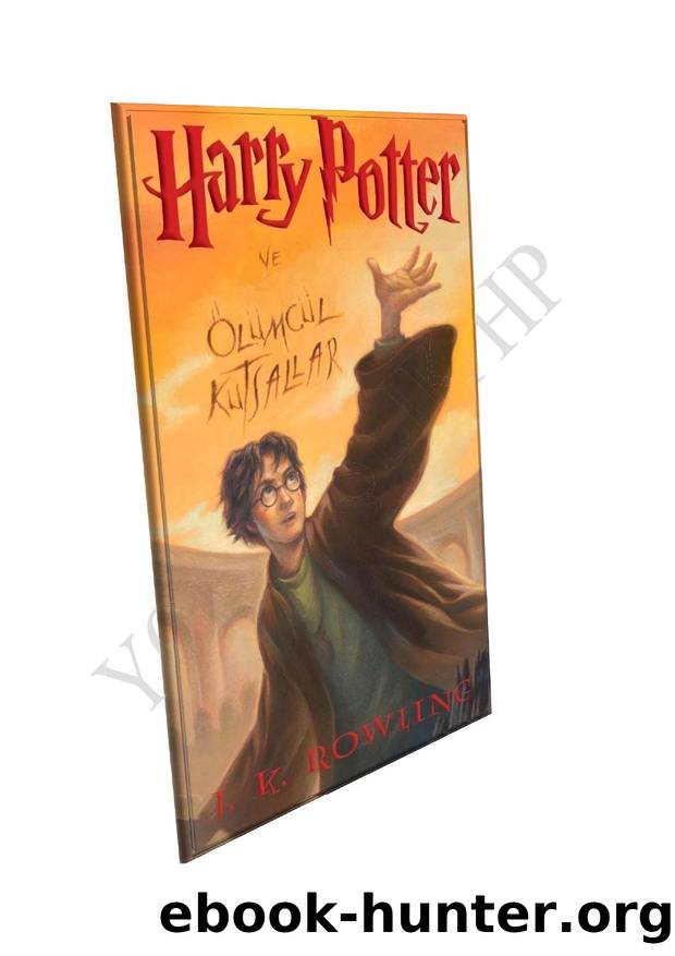Harry Potter by Olumcul Kutsallar