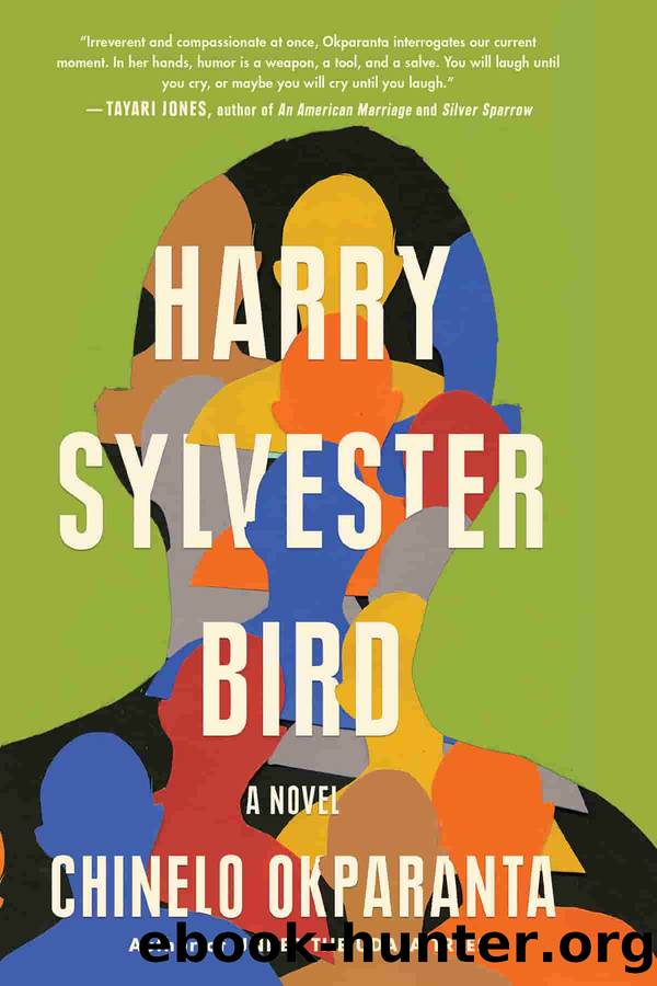 Harry Sylvester Bird by Chinelo Okparanta