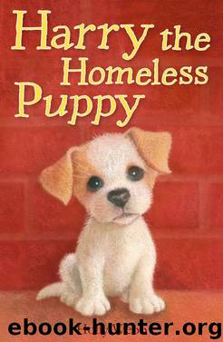 Harry the Homeless Puppy by Holly Webb