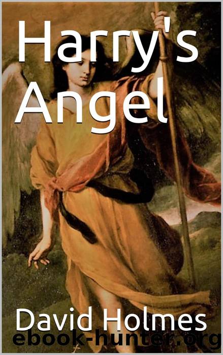 Harry's Angel by David Holmes