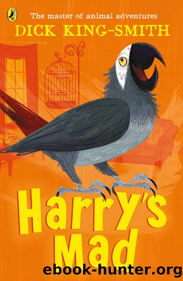 Harry's Mad by Dick King-Smith