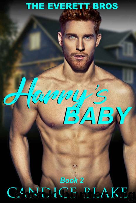 Harry’s Baby: The Everett Bros Book 2 by BLAKE CANDICE
