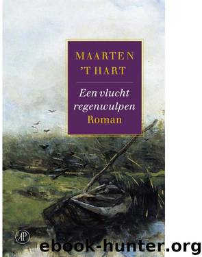 Hart Maarten 't Een vlucht regenwulpen by Hart Maarten 't