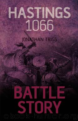 Hastings 1066 by Jonathan Trigg