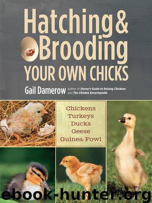 Hatching & Brooding Your Own Chicks by Gail Damerow