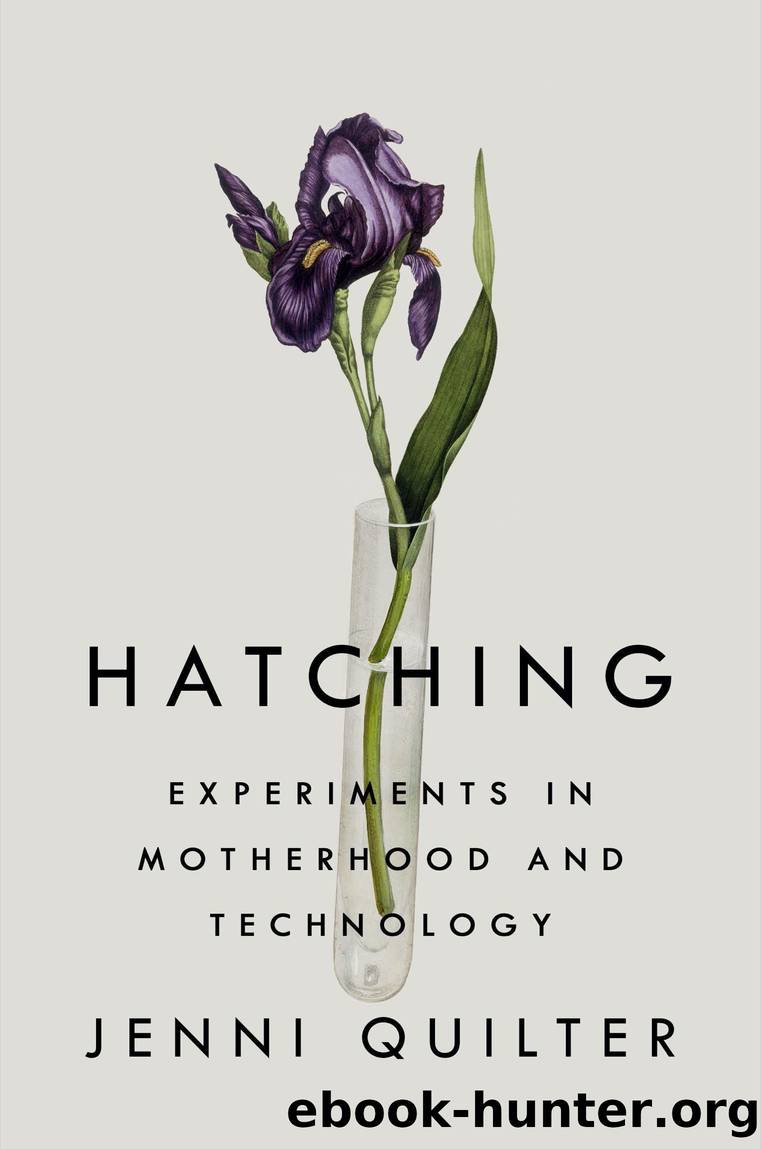 Hatching by Jenni Quilter